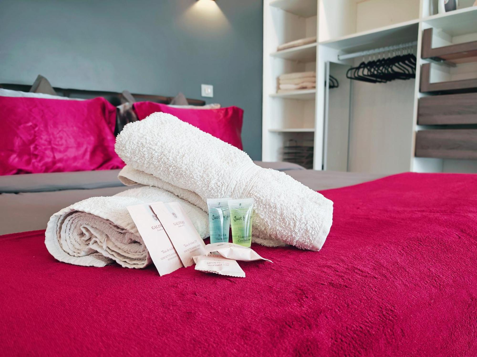 Magnifique Appartement Le Cannet,Cannes, Parking, Wifi エクステリア 写真